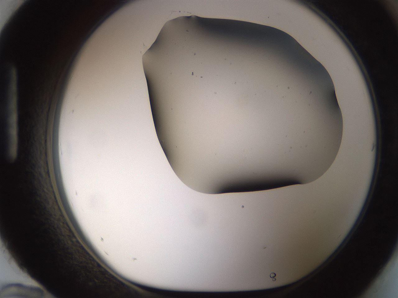 folderID189_plateID1189_batchID3369_wellNum96_profileID1_d1_r65982_ef.jpg