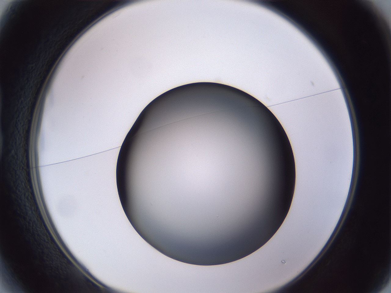 folderID189_plateID2189_batchID9952_wellNum13_profileID1_d1_r147939_ef.jpg