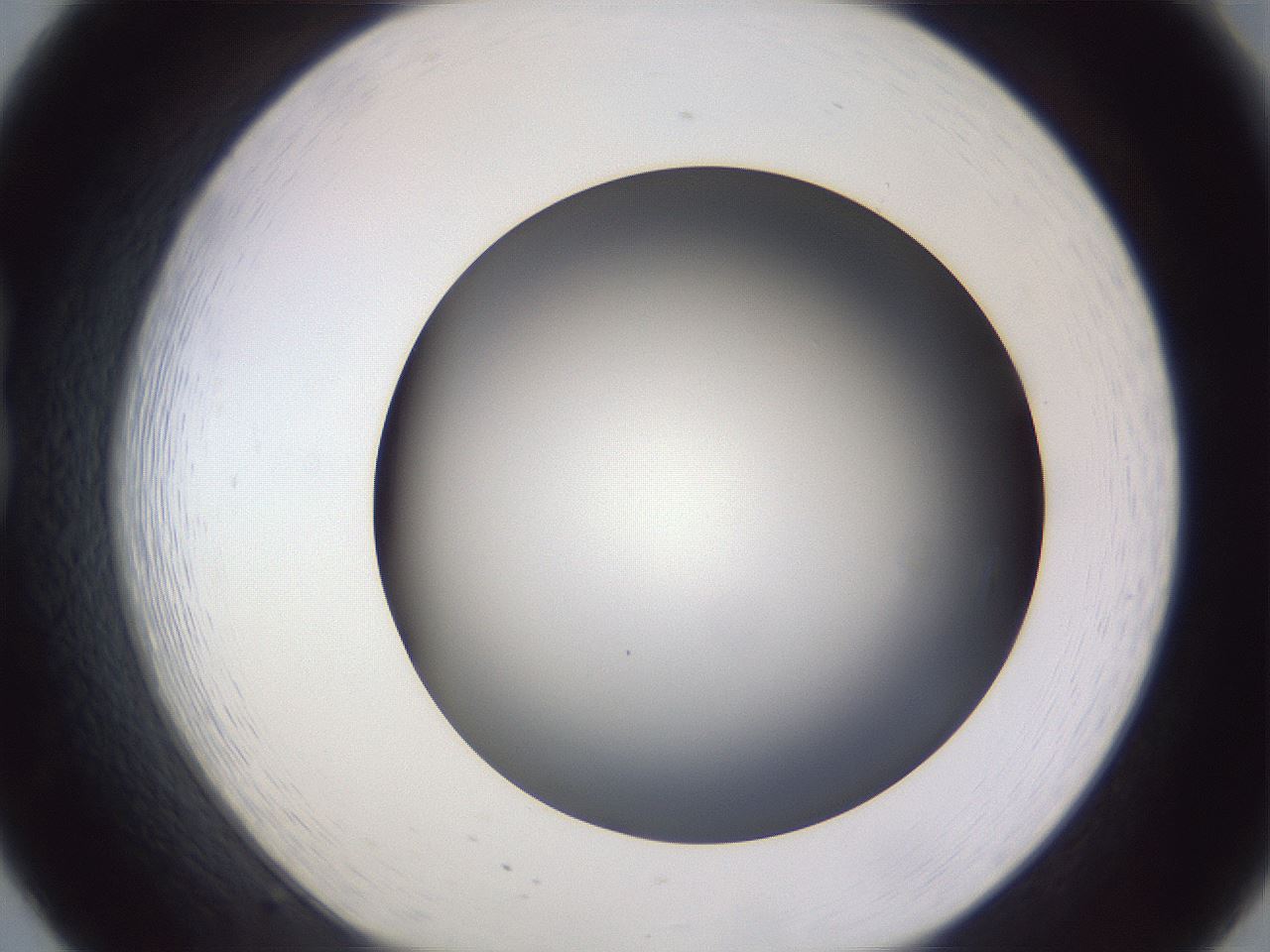 folderID189_plateID2189_batchID9952_wellNum20_profileID1_d1_r147946_ef.jpg