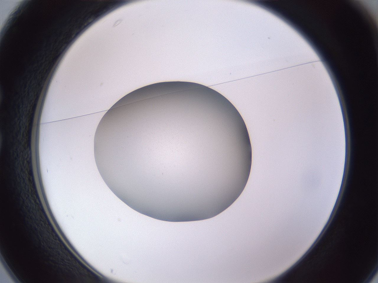 folderID189_plateID2189_batchID9952_wellNum25_profileID1_d1_r147951_ef.jpg