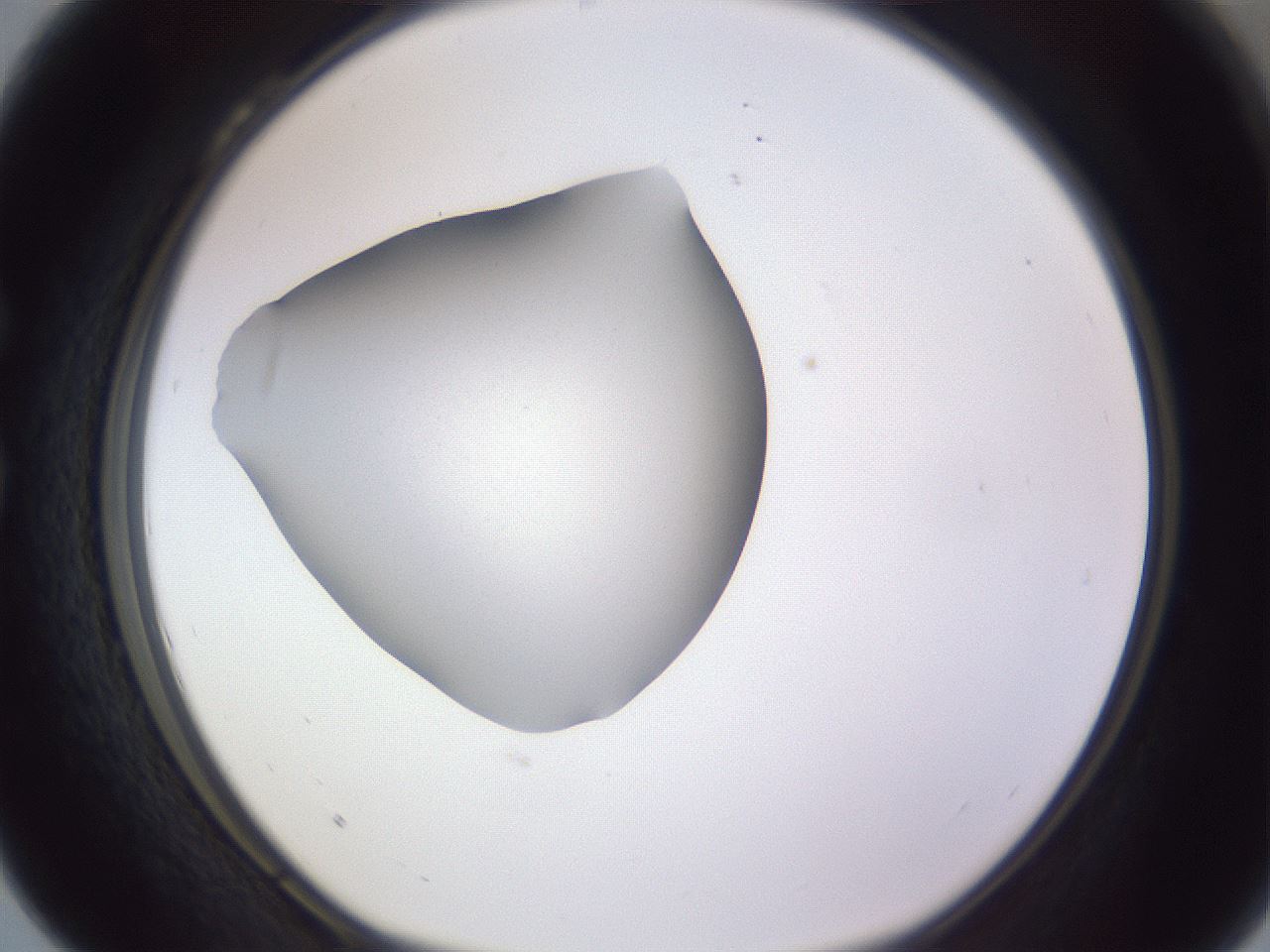 folderID189_plateID2189_batchID9952_wellNum28_profileID1_d1_r147954_ef.jpg