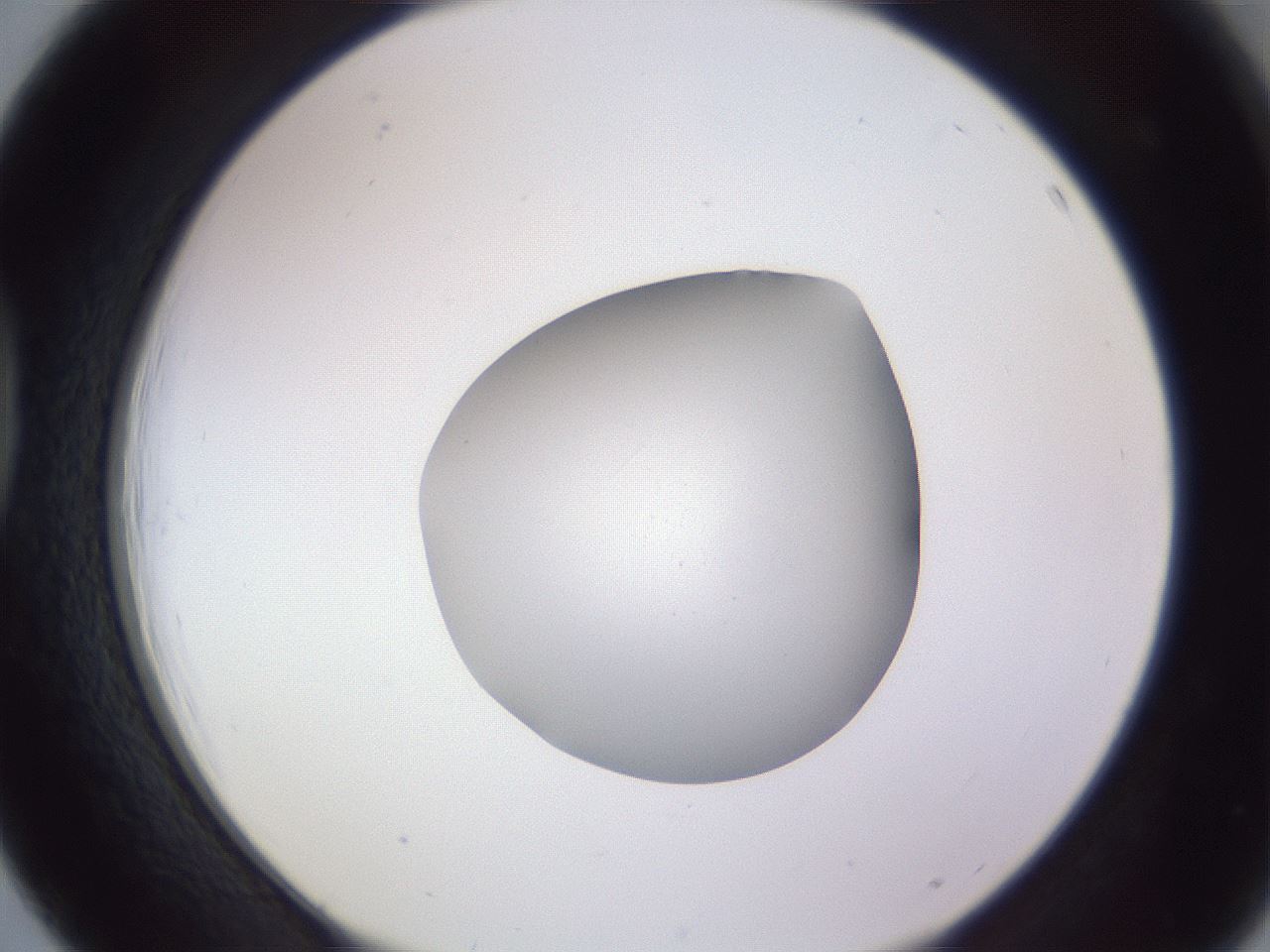 folderID189_plateID2189_batchID9952_wellNum39_profileID1_d1_r147965_ef.jpg