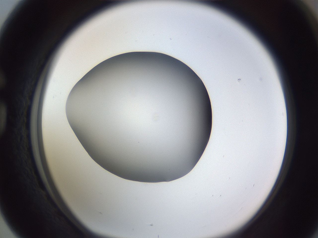 folderID189_plateID2189_batchID9952_wellNum76_profileID1_d1_r148002_ef.jpg