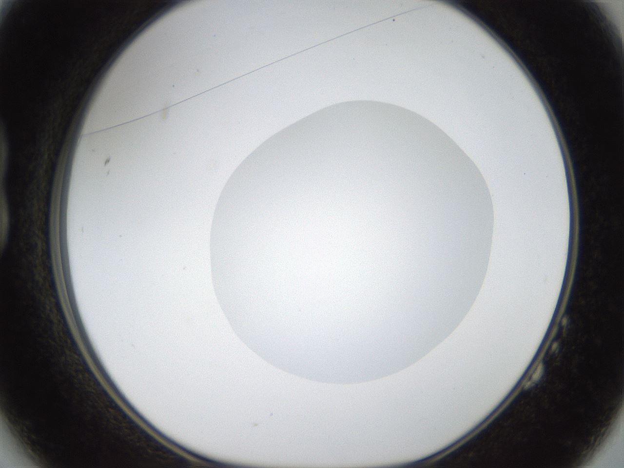 folderID18_plateID1018_batchID1888_wellNum14_profileID1_d1_r43089_ef.jpg