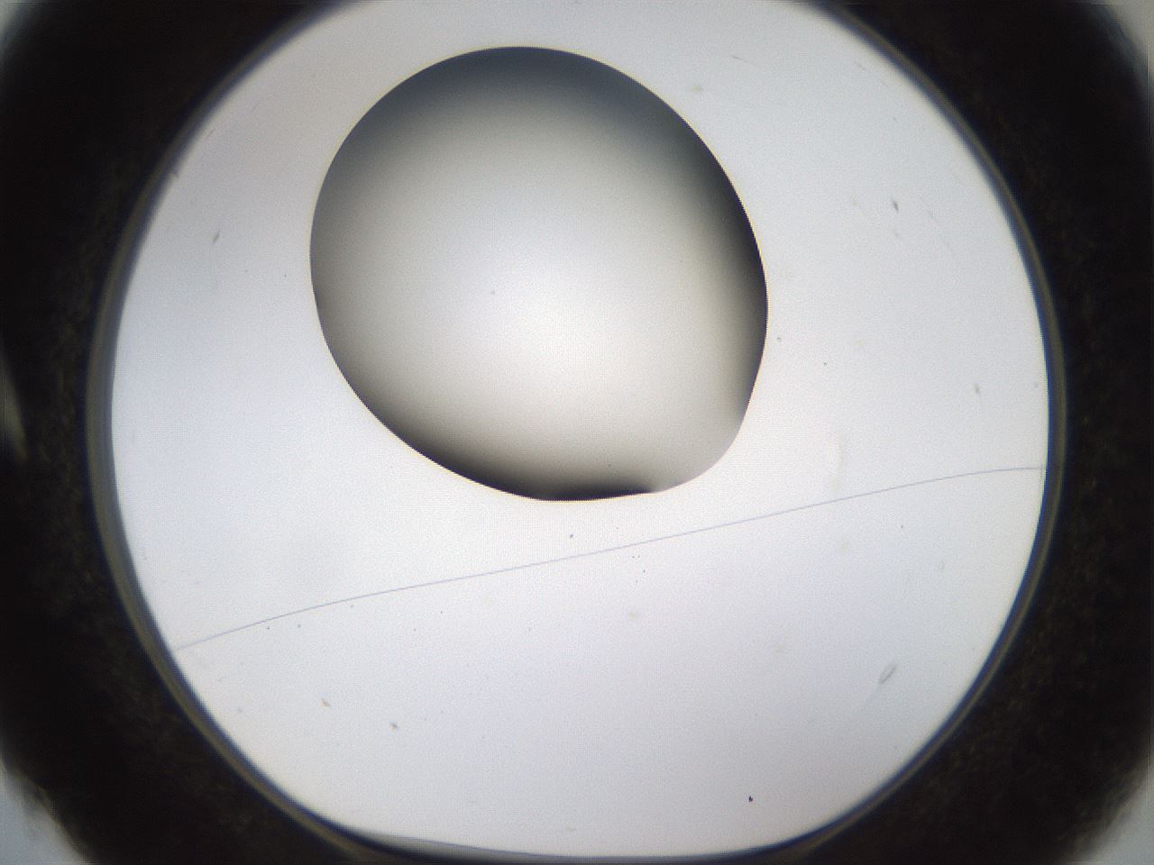 folderID190_plateID1190_batchID3355_wellNum4_profileID1_d1_r64930_ef.jpg