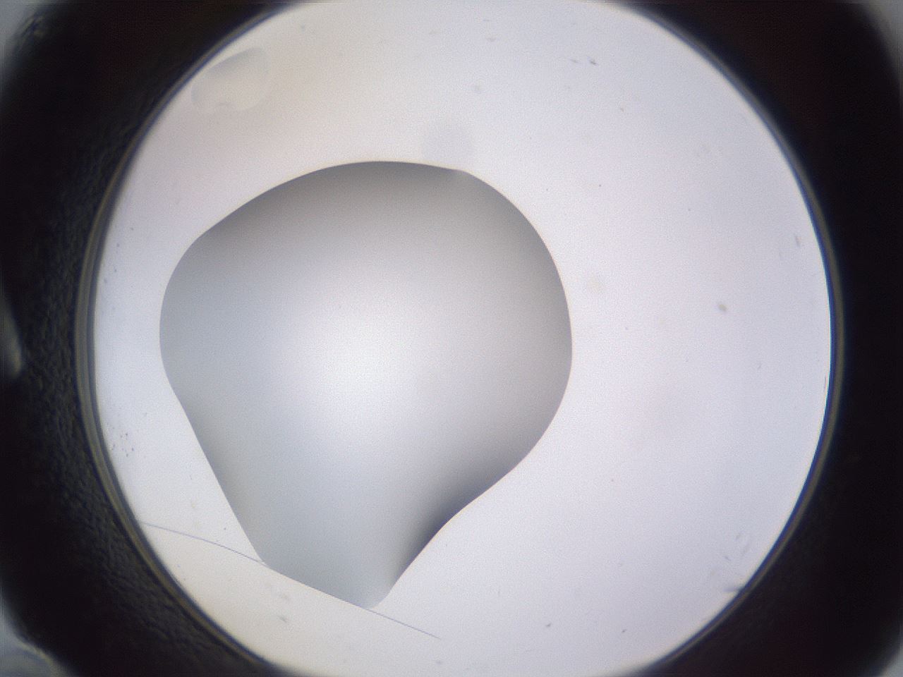folderID190_plateID2190_batchID9958_wellNum10_profileID1_d1_r148512_ef.jpg