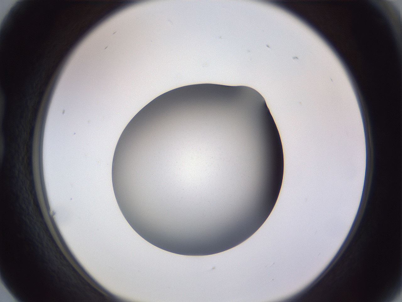 folderID190_plateID2190_batchID9958_wellNum17_profileID1_d1_r148519_ef.jpg