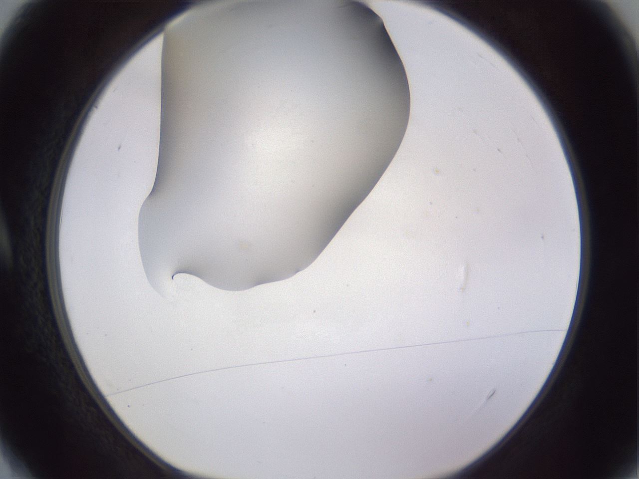 folderID190_plateID2190_batchID9958_wellNum4_profileID1_d1_r148506_ef.jpg