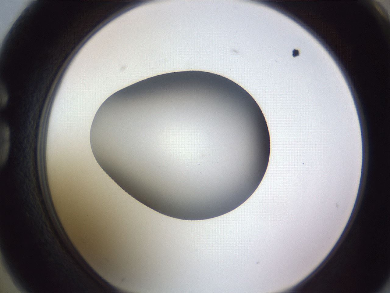 folderID190_plateID2190_batchID9958_wellNum74_profileID1_d1_r148576_ef.jpg