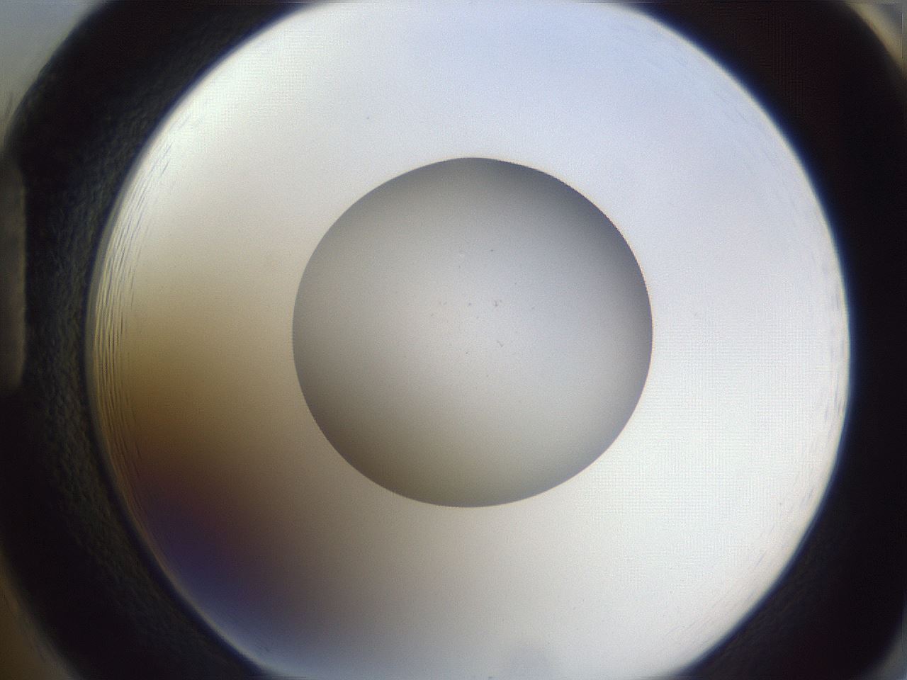 folderID190_plateID2190_batchID9958_wellNum85_profileID1_d1_r148587_ef.jpg