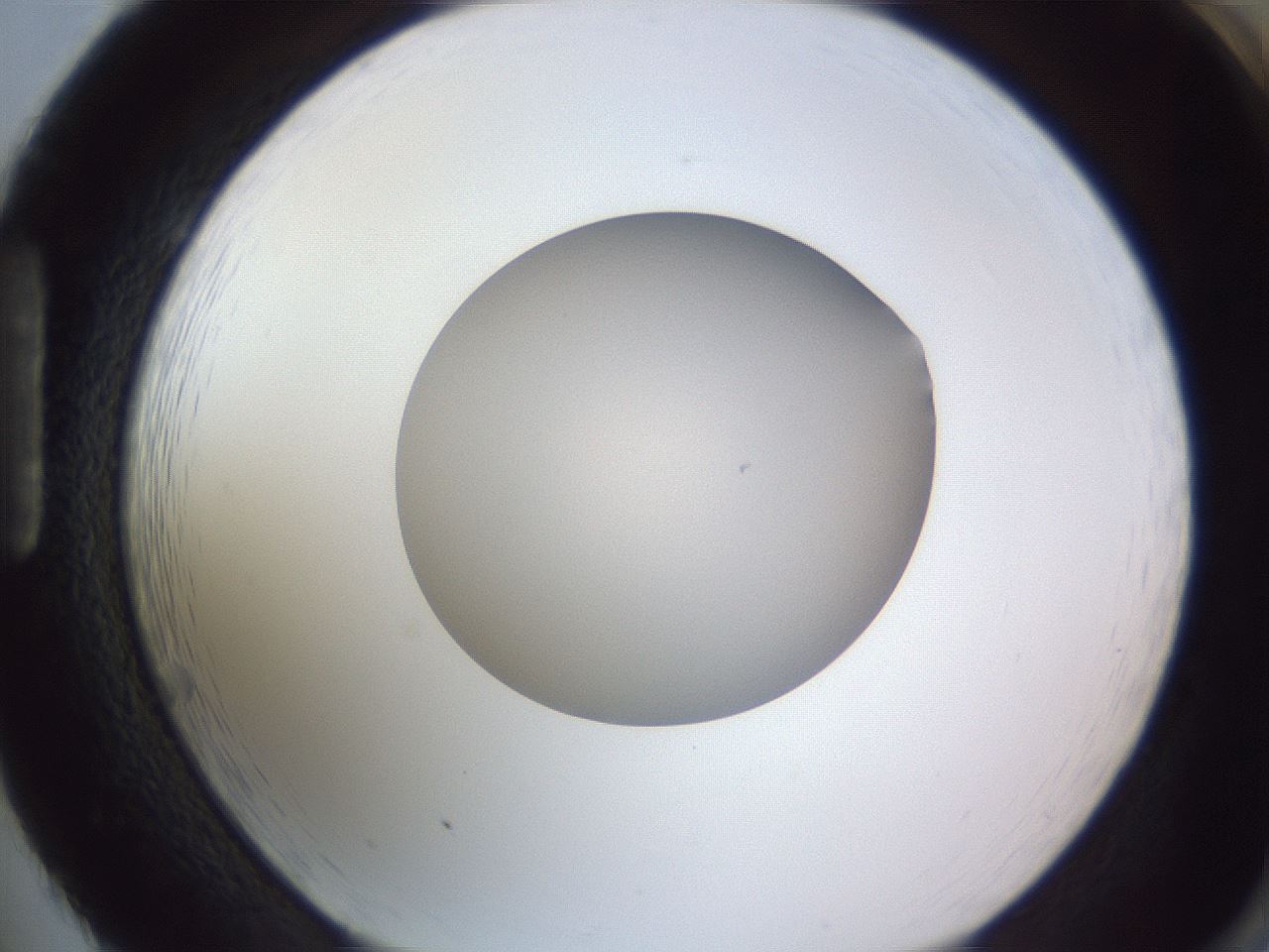 folderID190_plateID2190_batchID9958_wellNum86_profileID1_d1_r148588_ef.jpg