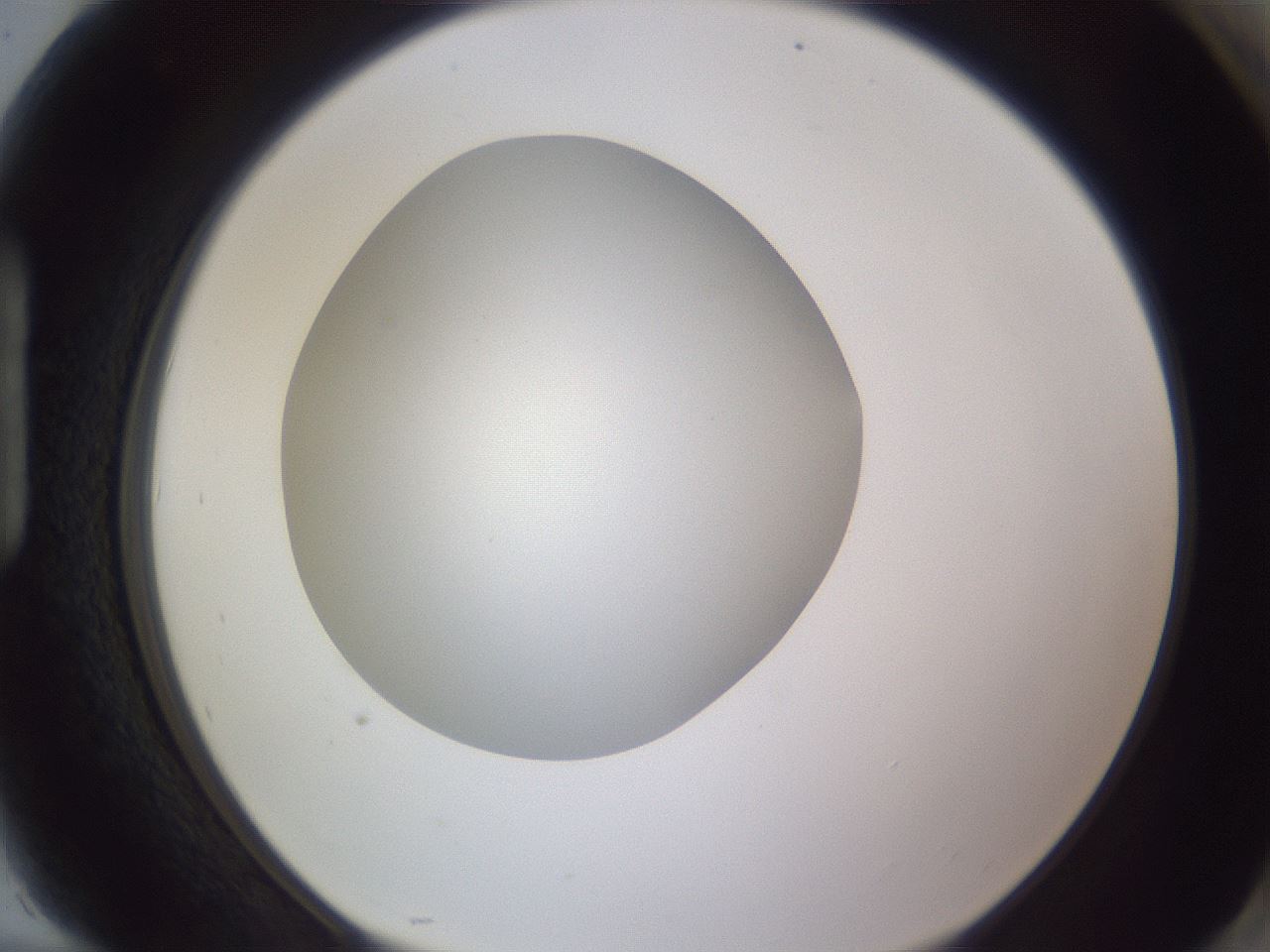 folderID190_plateID2190_batchID9958_wellNum94_profileID1_d1_r148596_ef.jpg