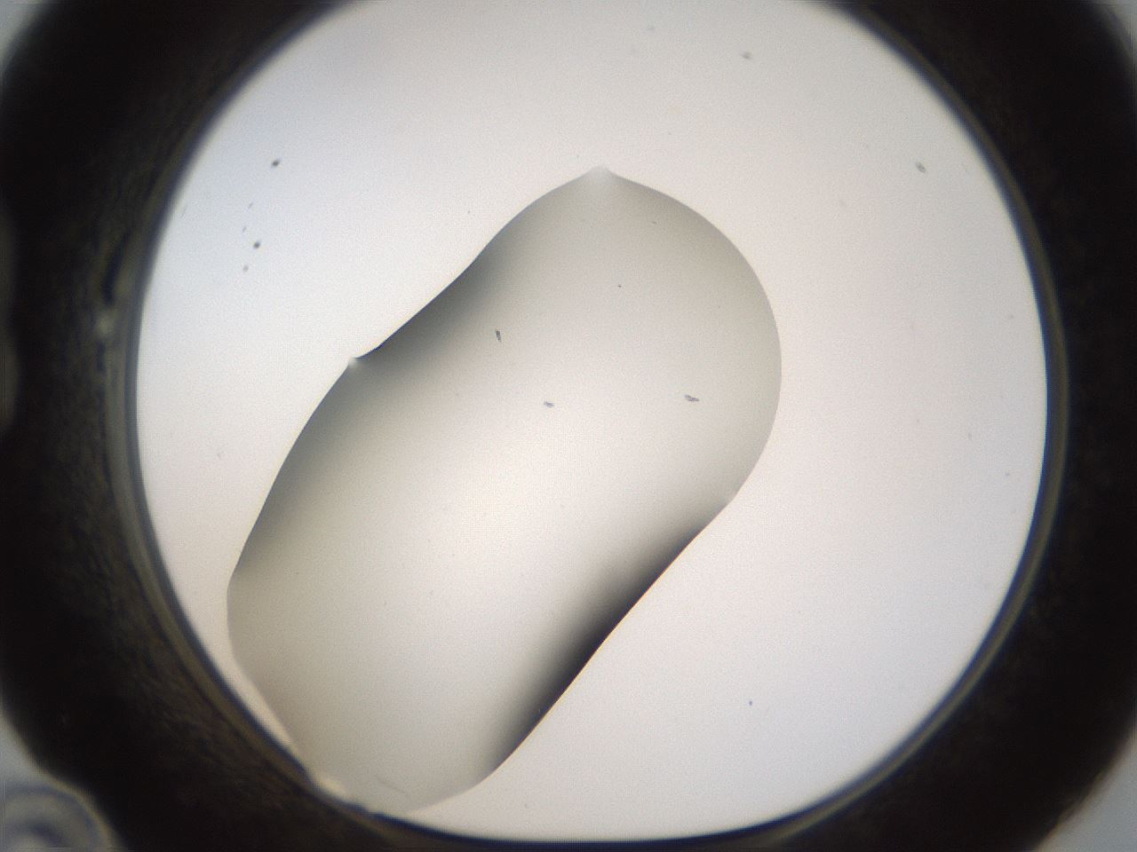 folderID191_plateID1191_batchID3363_wellNum22_profileID1_d1_r65524_ef.jpg