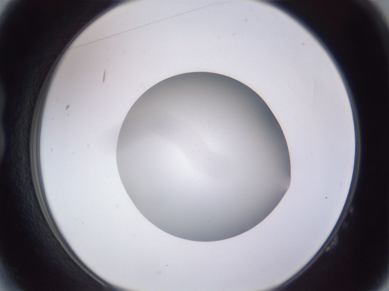 folderID191_plateID2191_batchID9956_wellNum14_profileID1_d1_r148324_ef.jpg