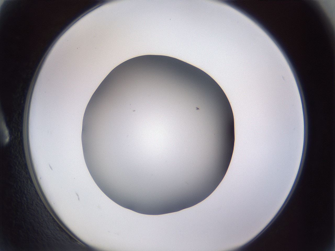 folderID191_plateID2191_batchID9956_wellNum2_profileID1_d1_r148312_ef.jpg