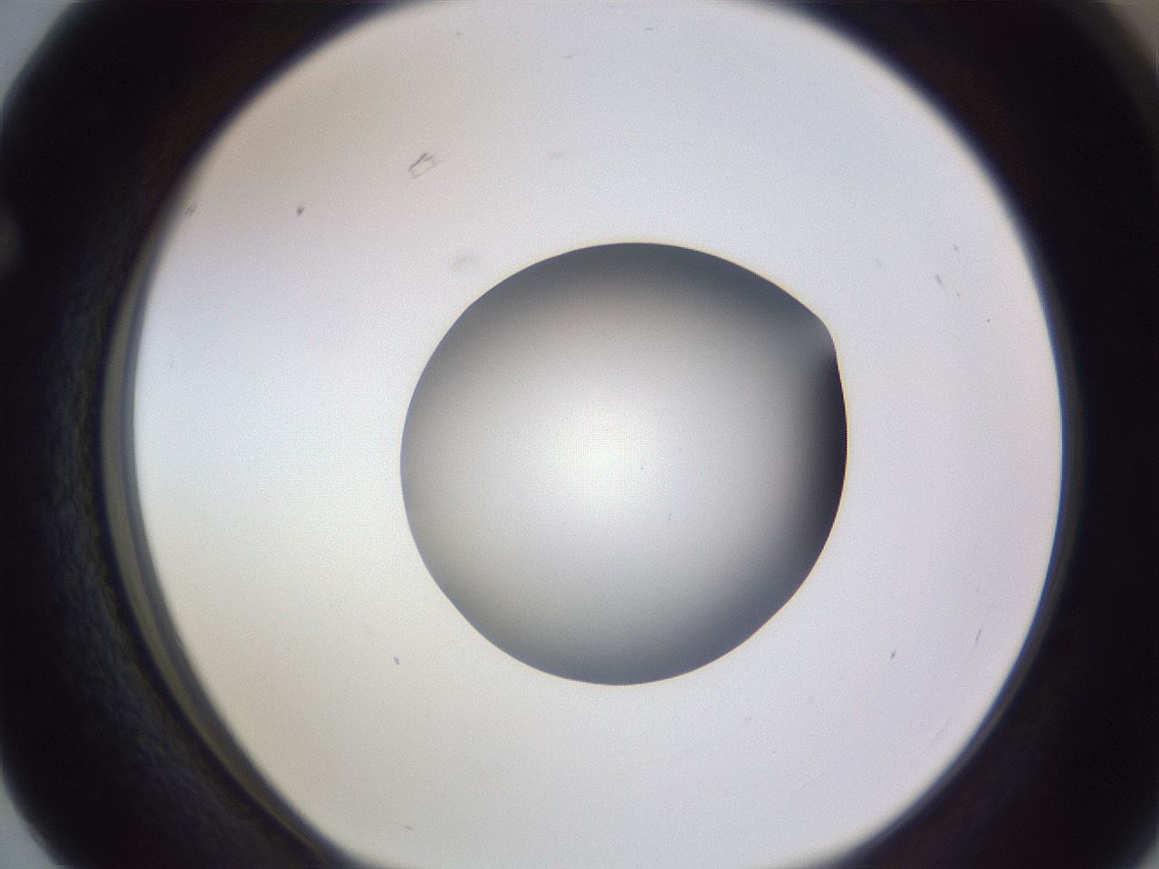 folderID191_plateID2191_batchID9956_wellNum63_profileID1_d1_r148373_ef.jpg