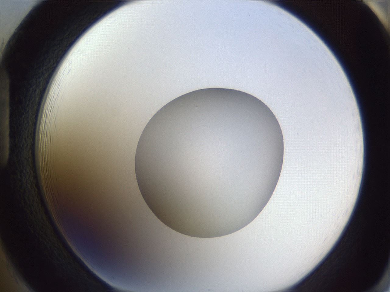 folderID191_plateID2191_batchID9956_wellNum85_profileID1_d1_r148395_ef.jpg