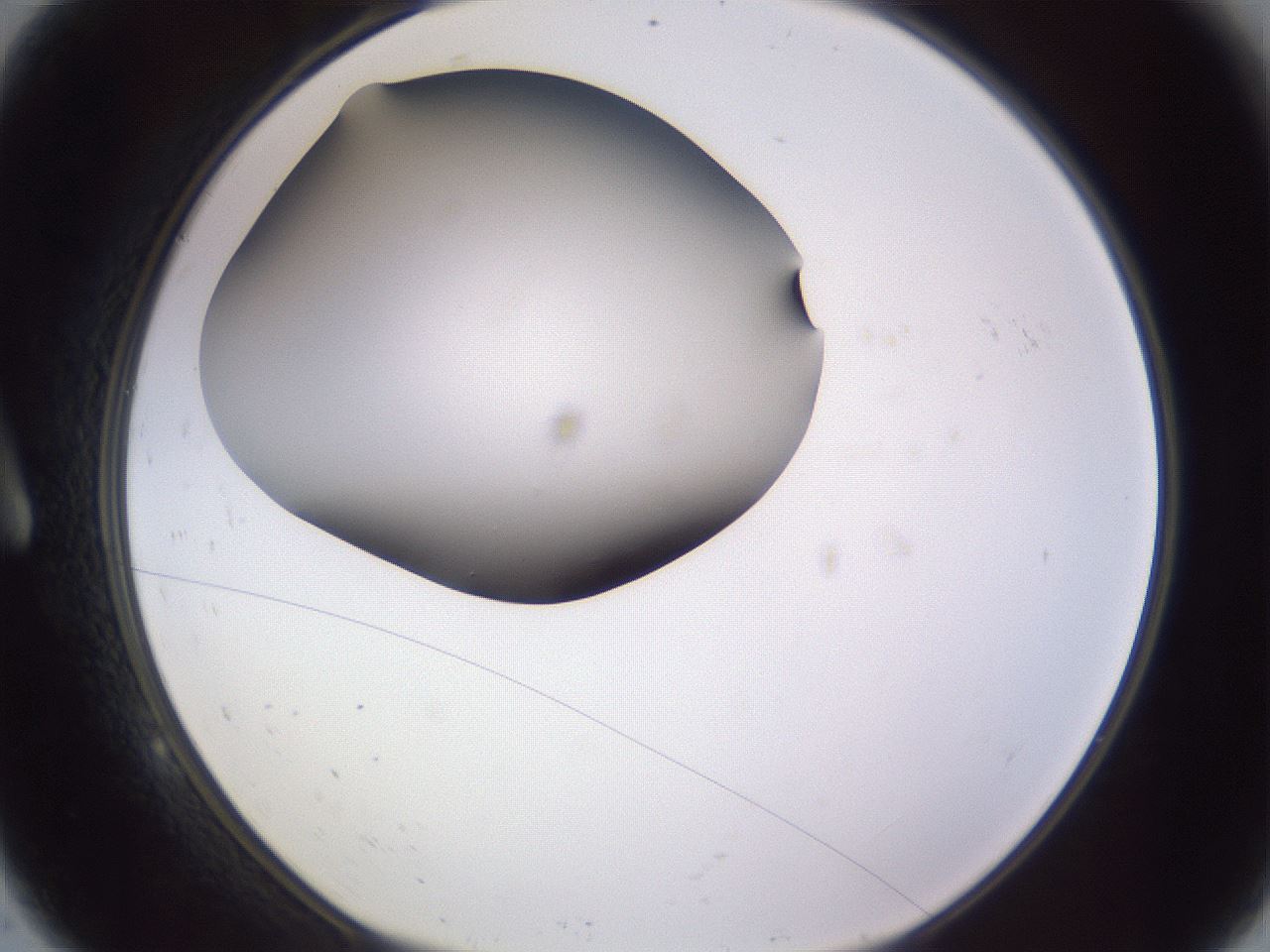 folderID191_plateID2191_batchID9956_wellNum9_profileID1_d1_r148319_ef.jpg