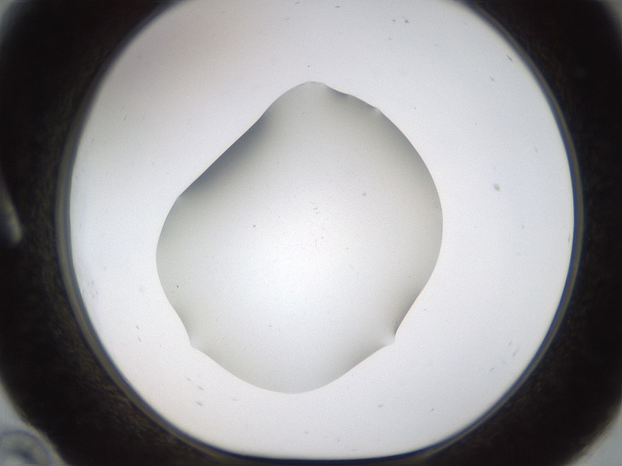 folderID192_plateID1192_batchID3365_wellNum10_profileID1_d1_r65536_ef.jpg