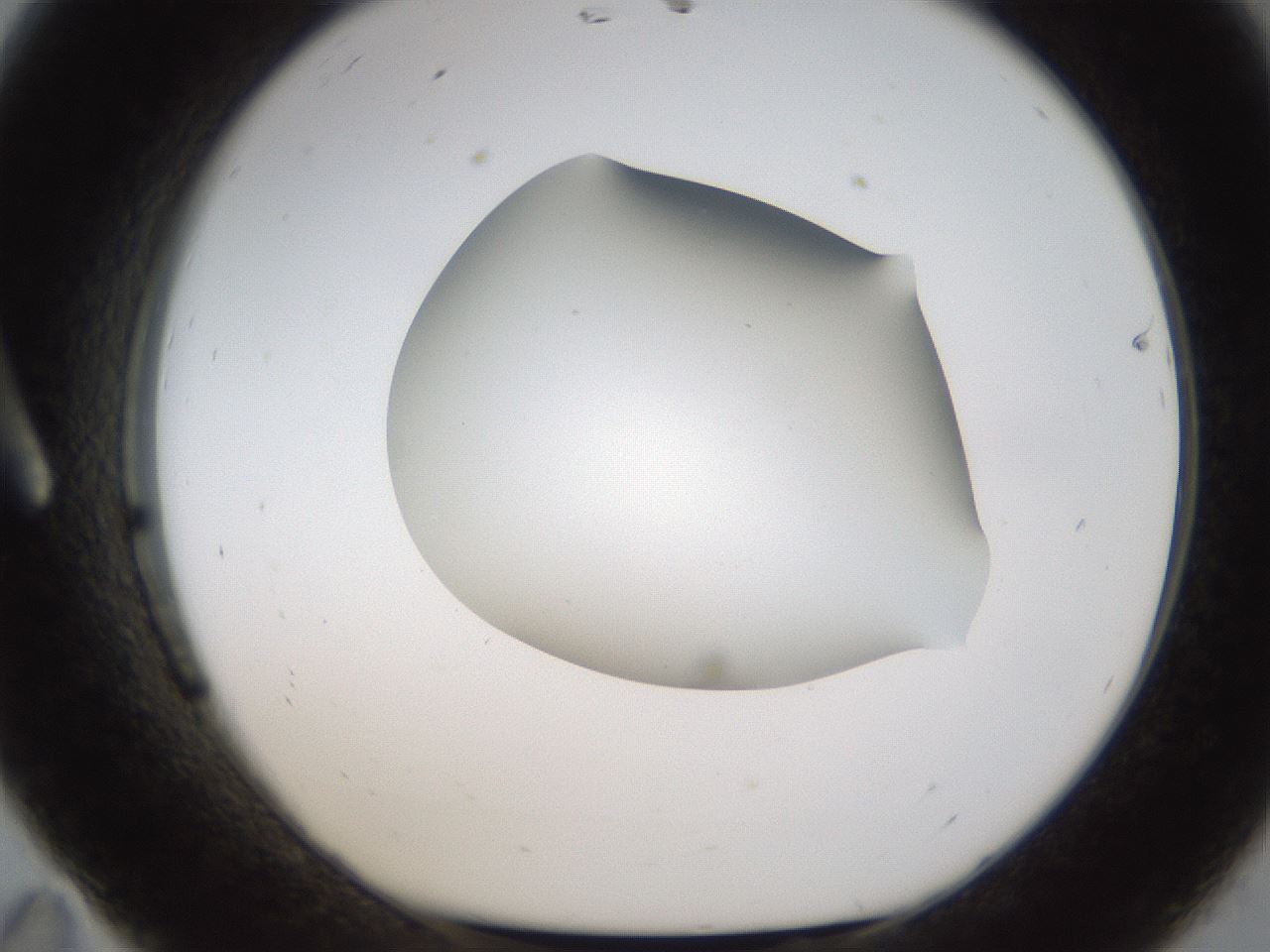 folderID192_plateID1192_batchID3365_wellNum11_profileID1_d1_r65537_ef.jpg