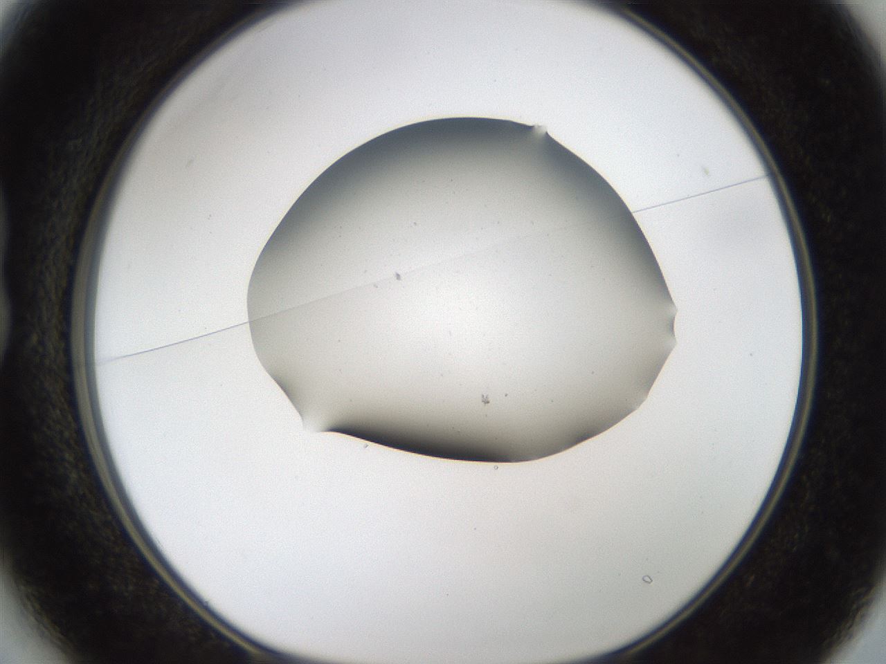 folderID192_plateID1192_batchID3365_wellNum13_profileID1_d1_r65539_ef.jpg