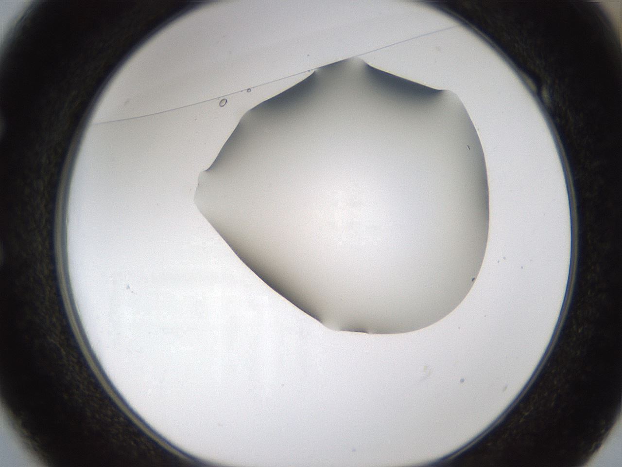 folderID192_plateID1192_batchID3365_wellNum49_profileID1_d1_r65575_ef.jpg
