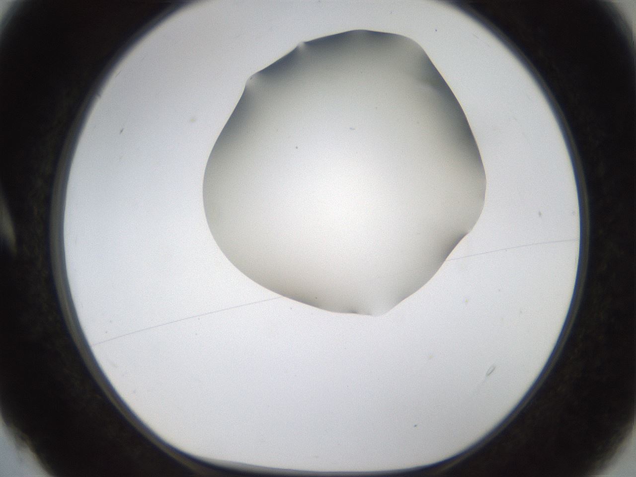 folderID192_plateID1192_batchID3365_wellNum4_profileID1_d1_r65530_ef.jpg