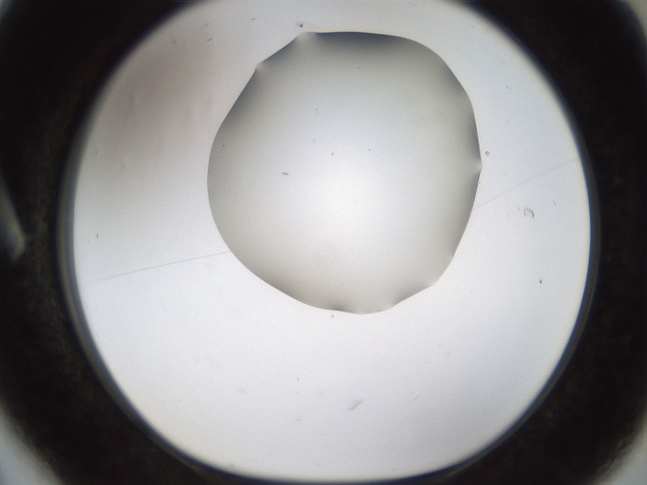 folderID192_plateID1192_batchID3365_wellNum6_profileID1_d1_r65532_ef.jpg