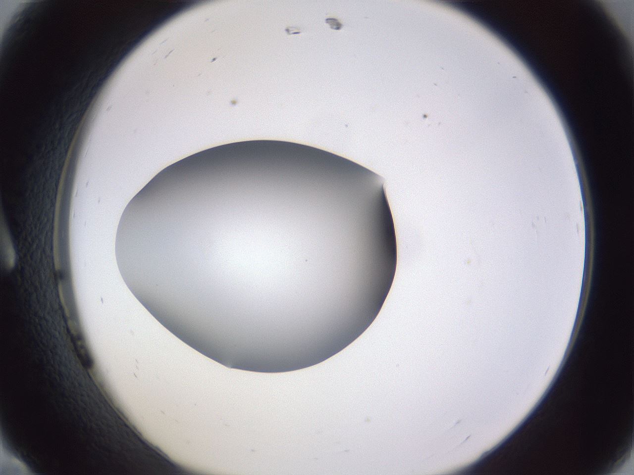 folderID192_plateID2192_batchID9954_wellNum11_profileID1_d1_r148129_ef.jpg