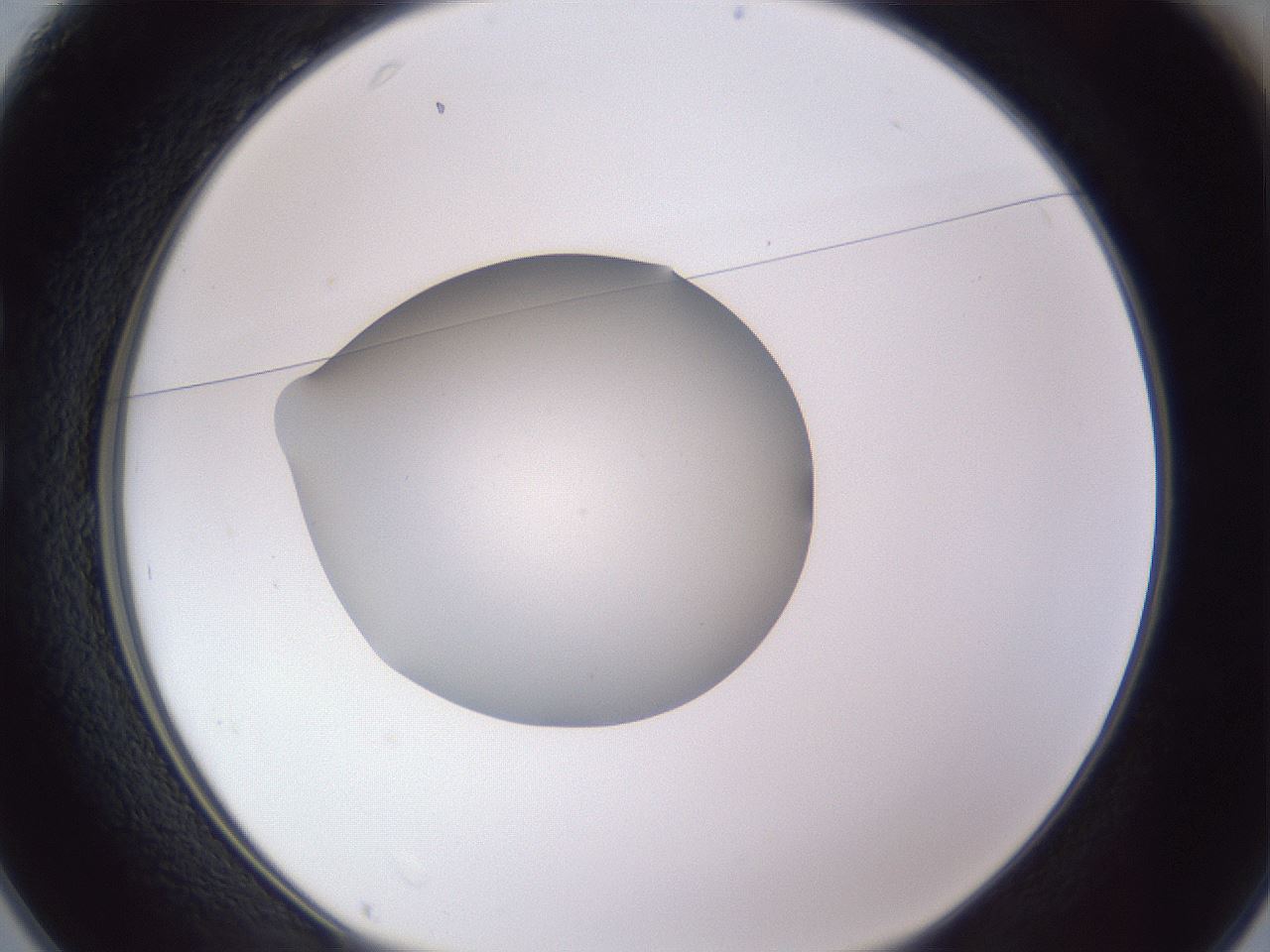 folderID192_plateID2192_batchID9954_wellNum25_profileID1_d1_r148143_ef.jpg