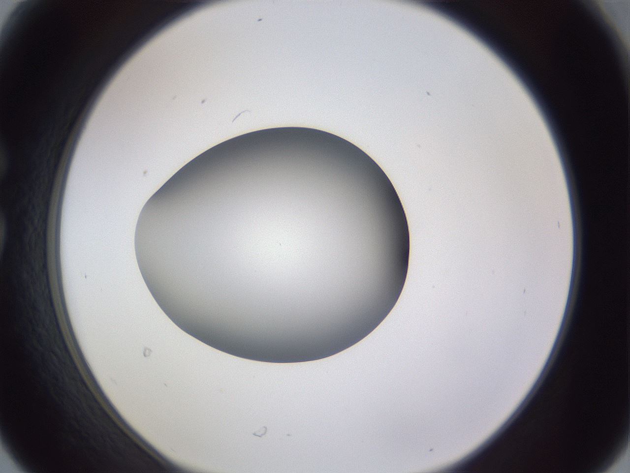 folderID192_plateID2192_batchID9954_wellNum30_profileID1_d1_r148148_ef.jpg
