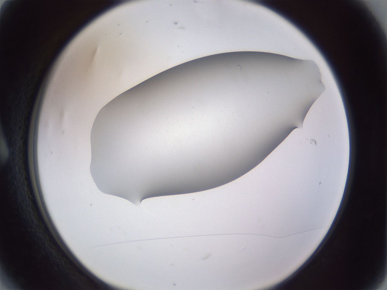 folderID192_plateID2192_batchID9954_wellNum6_profileID1_d1_r148124_ef.jpg