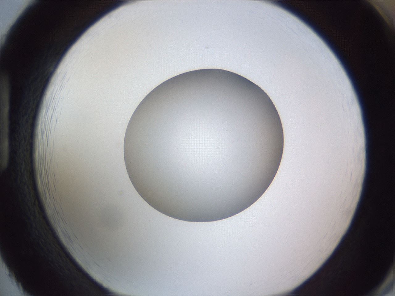 folderID192_plateID2192_batchID9954_wellNum86_profileID1_d1_r148204_ef.jpg