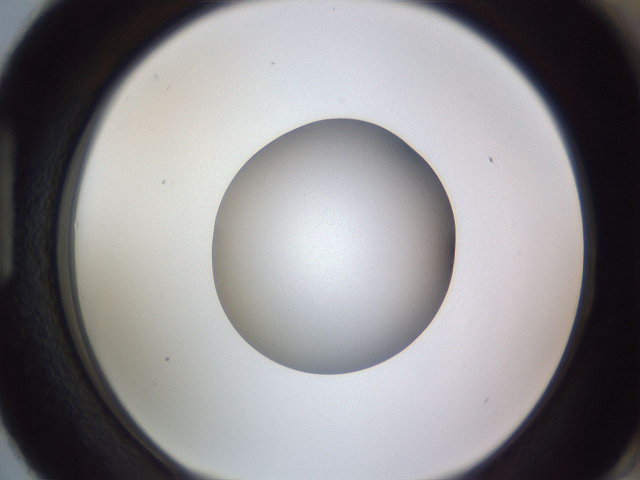 folderID192_plateID2192_batchID9954_wellNum87_profileID1_d1_r148205_ef.jpg