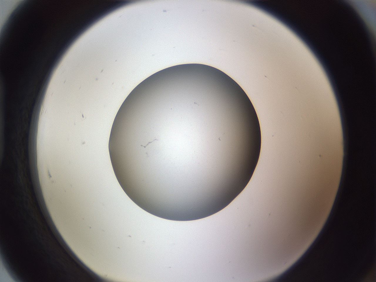 folderID192_plateID2192_batchID9954_wellNum91_profileID1_d1_r148209_ef.jpg