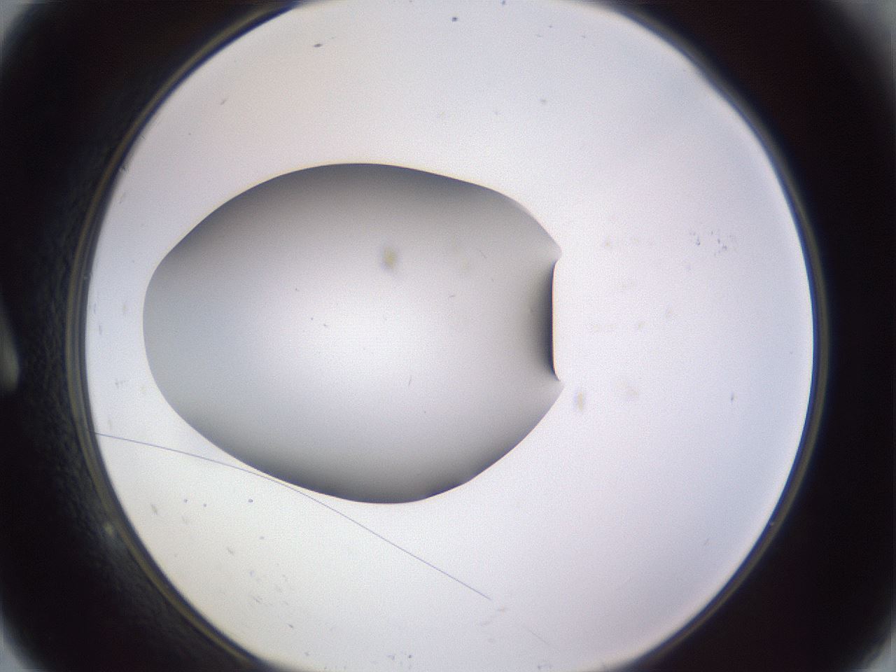 folderID192_plateID2192_batchID9954_wellNum9_profileID1_d1_r148127_ef.jpg