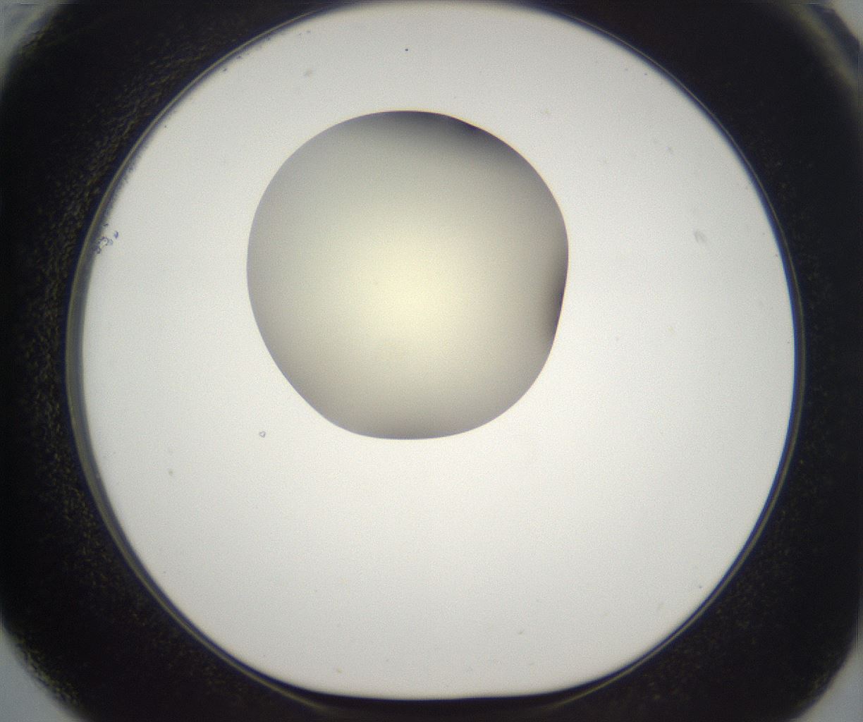 folderID193_plateID2193_batchID9961_wellNum61_profileID1_d1_r148755_ef.jpg