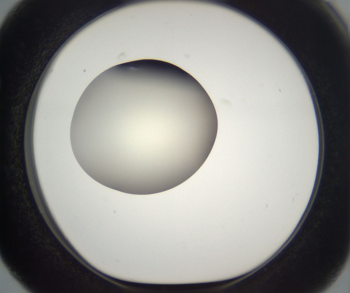 folderID193_plateID2193_batchID9961_wellNum63_profileID1_d1_r148757_ef.jpg
