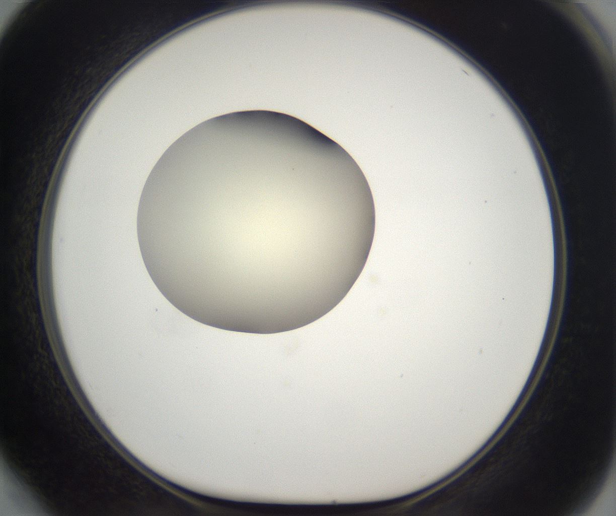 folderID193_plateID2193_batchID9961_wellNum64_profileID1_d1_r148758_ef.jpg