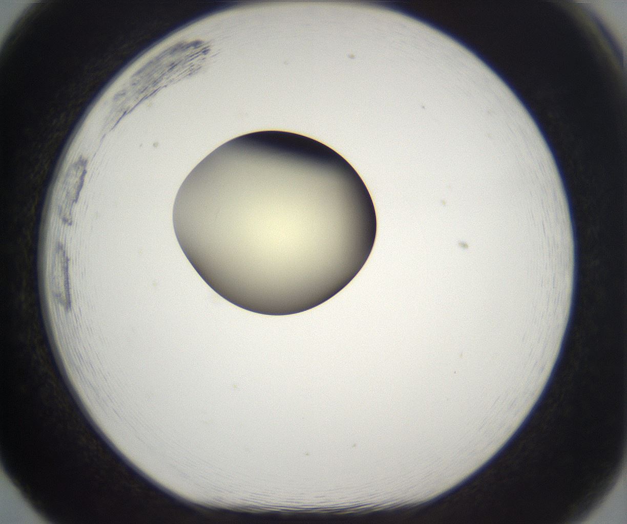 folderID193_plateID2193_batchID9961_wellNum65_profileID1_d1_r148759_ef.jpg