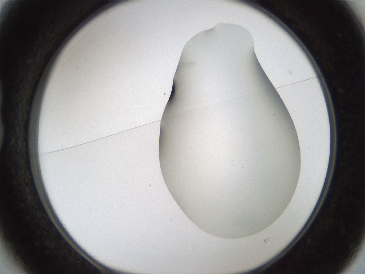 folderID194_plateID1194_batchID3367_wellNum13_profileID1_d1_r65707_ef.jpg