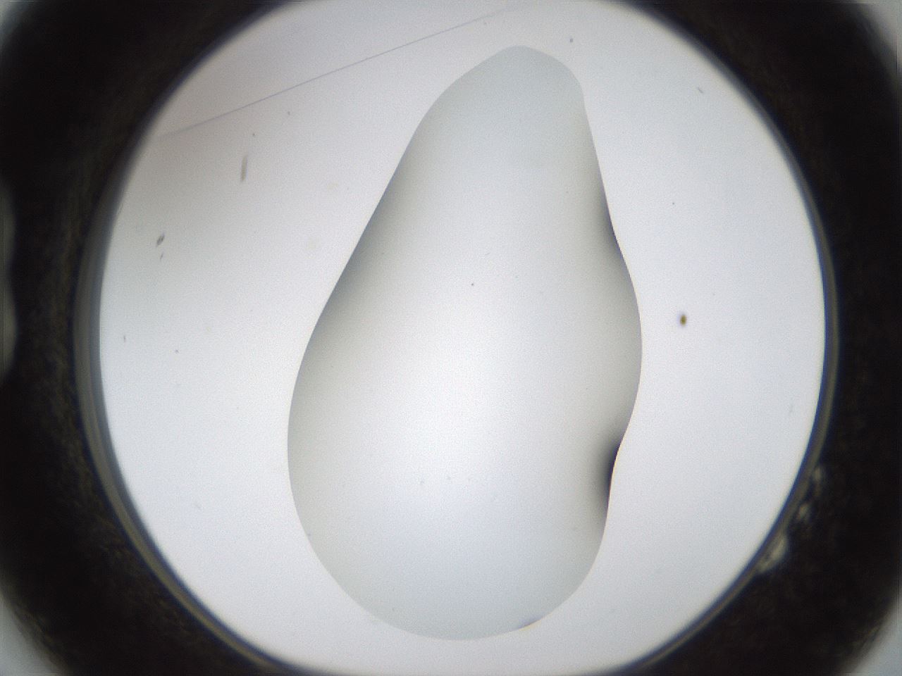 folderID194_plateID1194_batchID3367_wellNum14_profileID1_d1_r65708_ef.jpg