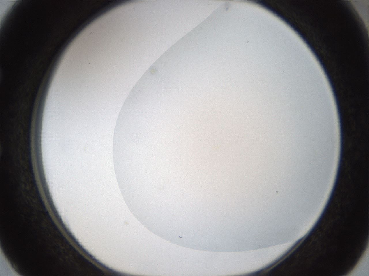 folderID194_plateID1194_batchID3367_wellNum50_profileID1_d1_r65744_ef.jpg