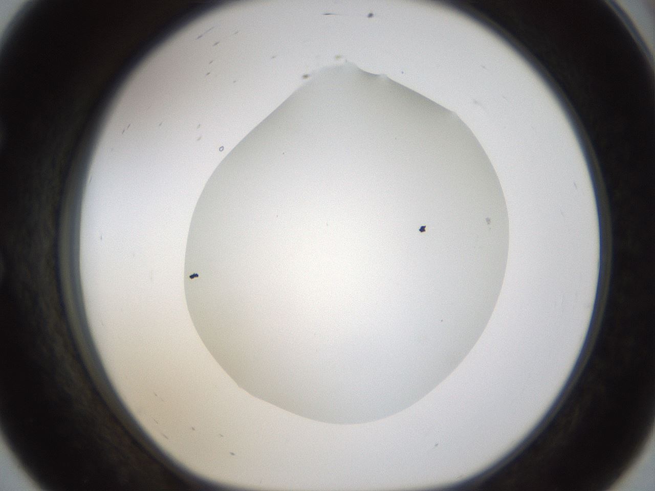 folderID194_plateID1194_batchID3367_wellNum56_profileID1_d1_r65750_ef.jpg
