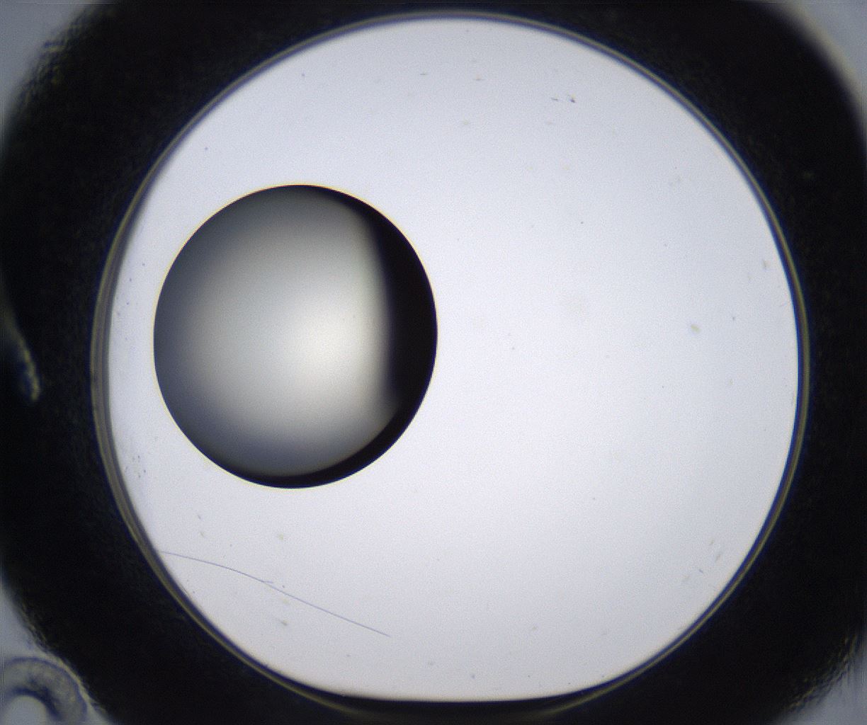 folderID194_plateID2194_batchID9960_wellNum10_profileID1_d1_r148608_ef.jpg