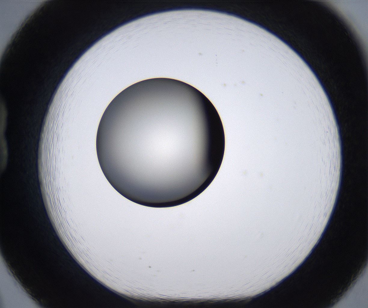folderID194_plateID2194_batchID9960_wellNum20_profileID1_d1_r148618_ef.jpg