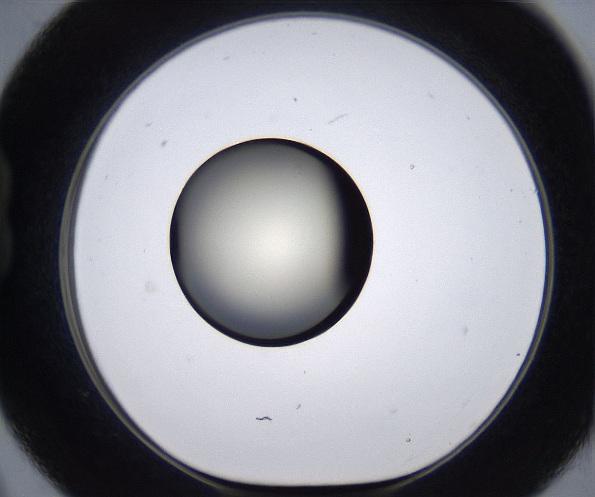 folderID194_plateID2194_batchID9960_wellNum21_profileID1_d1_r148619_ef.jpg