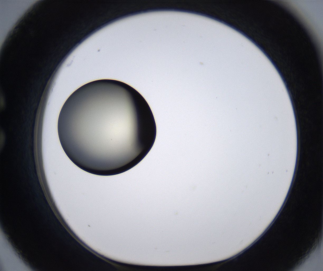 folderID194_plateID2194_batchID9960_wellNum33_profileID1_d1_r148631_ef.jpg