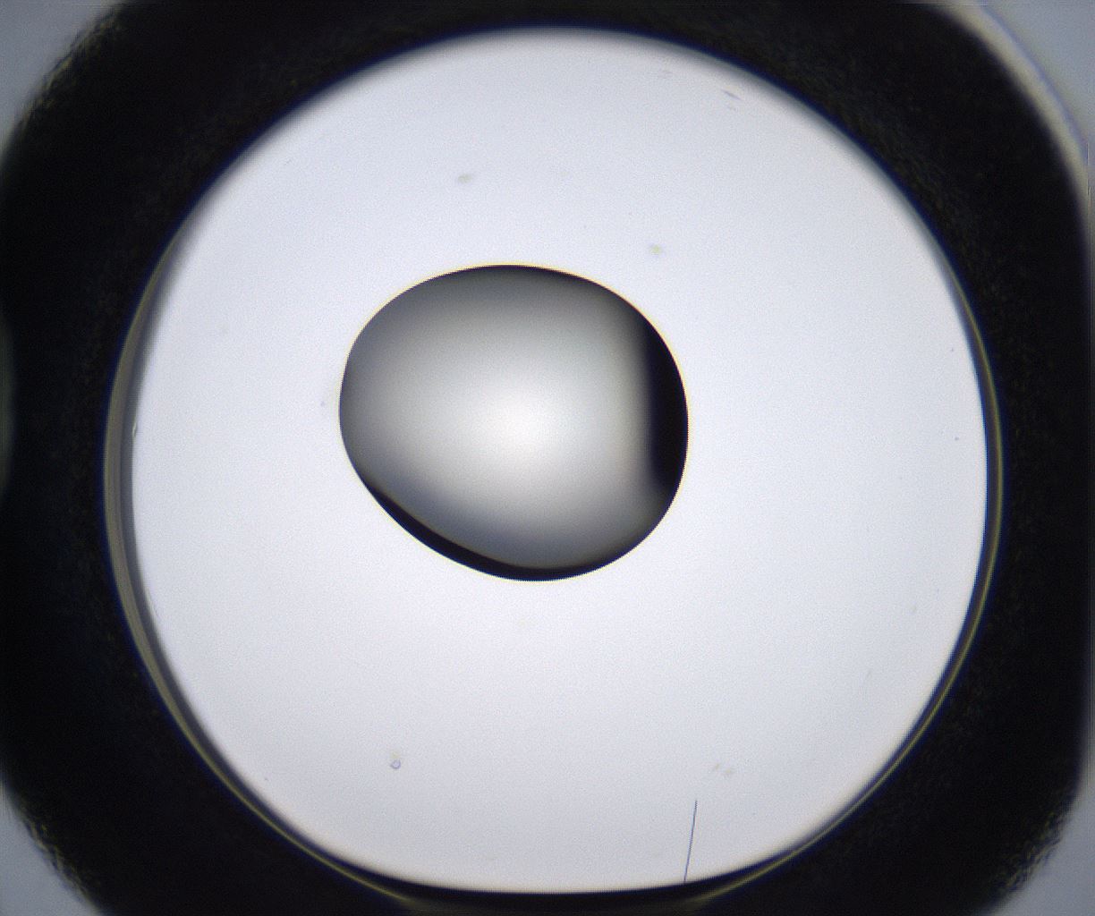 folderID194_plateID2194_batchID9960_wellNum38_profileID1_d1_r148636_ef.jpg
