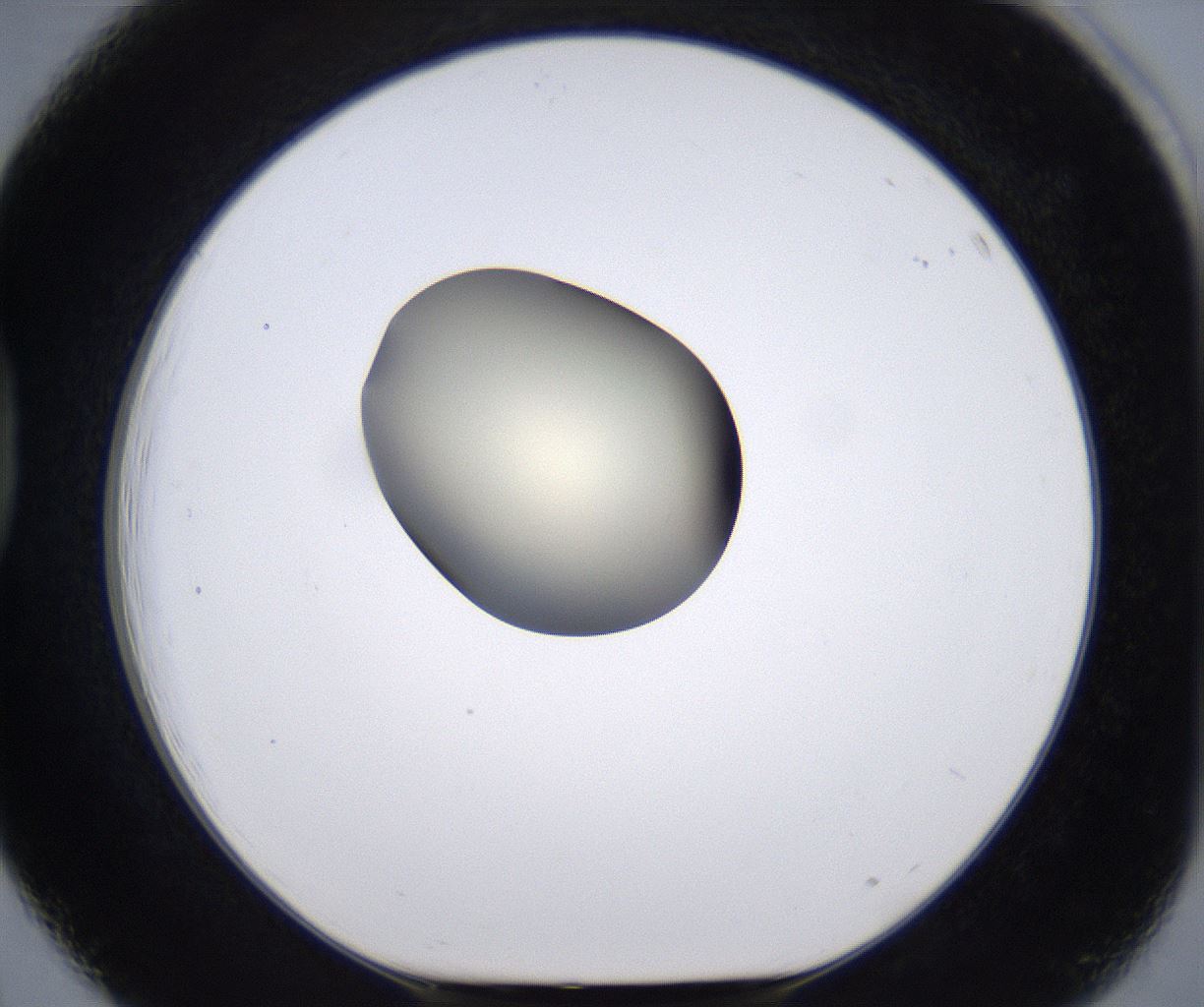 folderID194_plateID2194_batchID9960_wellNum39_profileID1_d1_r148637_ef.jpg